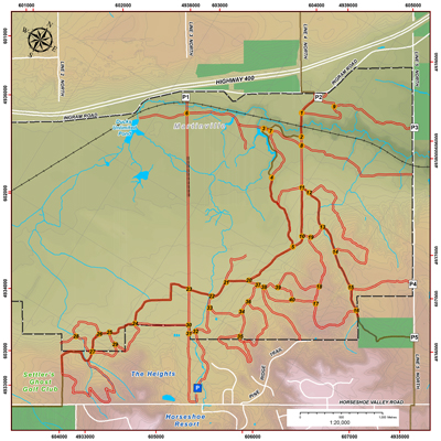 copeland forest mtb trail map