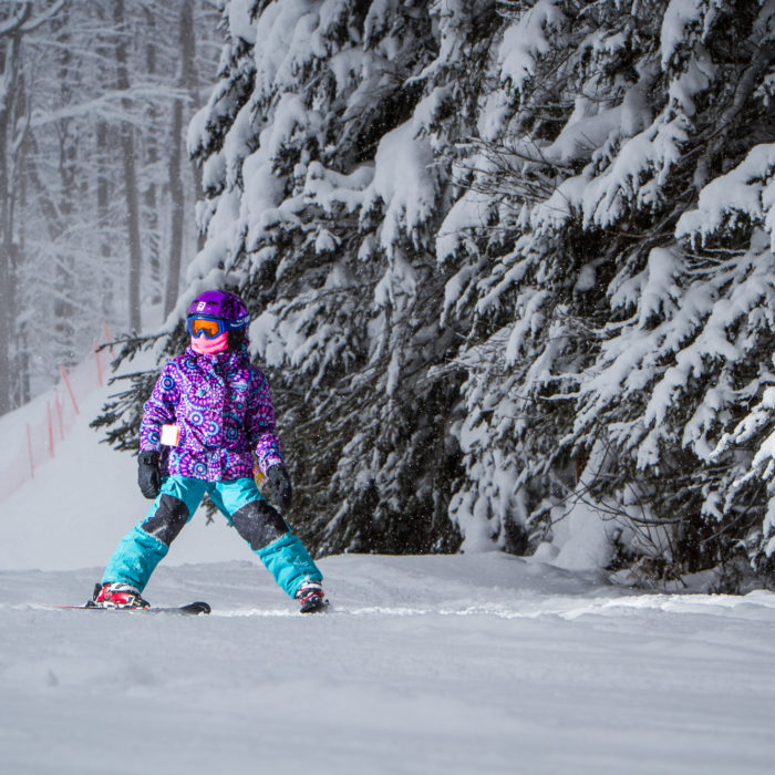 Home Horseshoe Resort Barrie Ontario Ski Resort